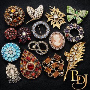BDJ Discovery 0.5 lb Brooch Lot • Vintage Pins • Rare Finds • 8–15 Pc Est ✨🖤!!